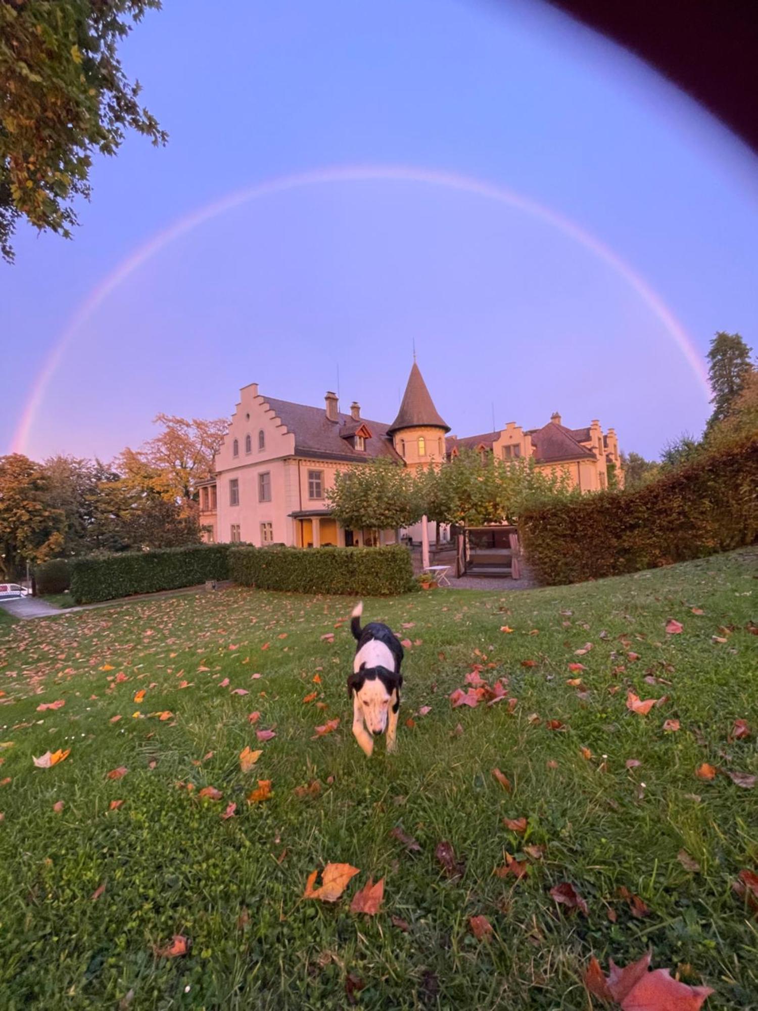 Schloss Brunnegg Otel Kreuzlingen Dış mekan fotoğraf